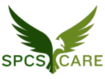 Domiciliary Care Provider